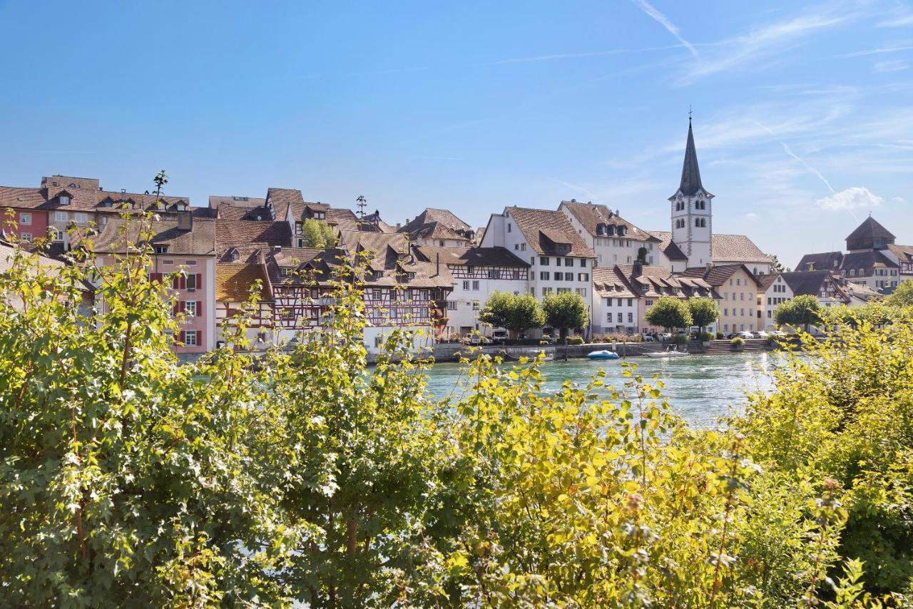 Апартаменты Am Hochrhein Desko Гайлинген Экстерьер фото